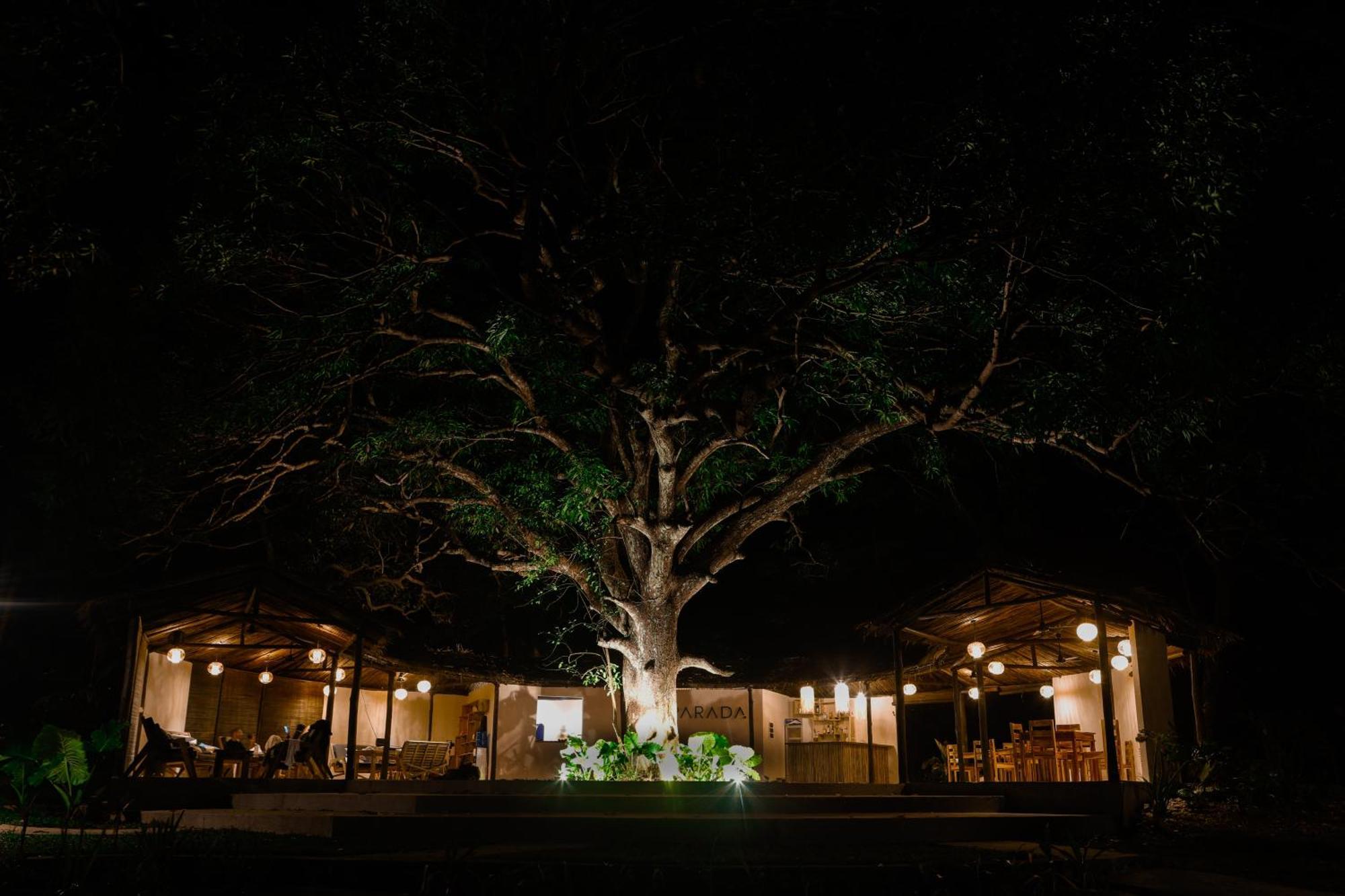 Parada Beach Camp เอลนิโด ภายนอก รูปภาพ
